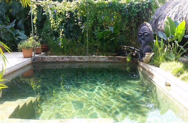 Casa Picaflor Las Terrenas Pool